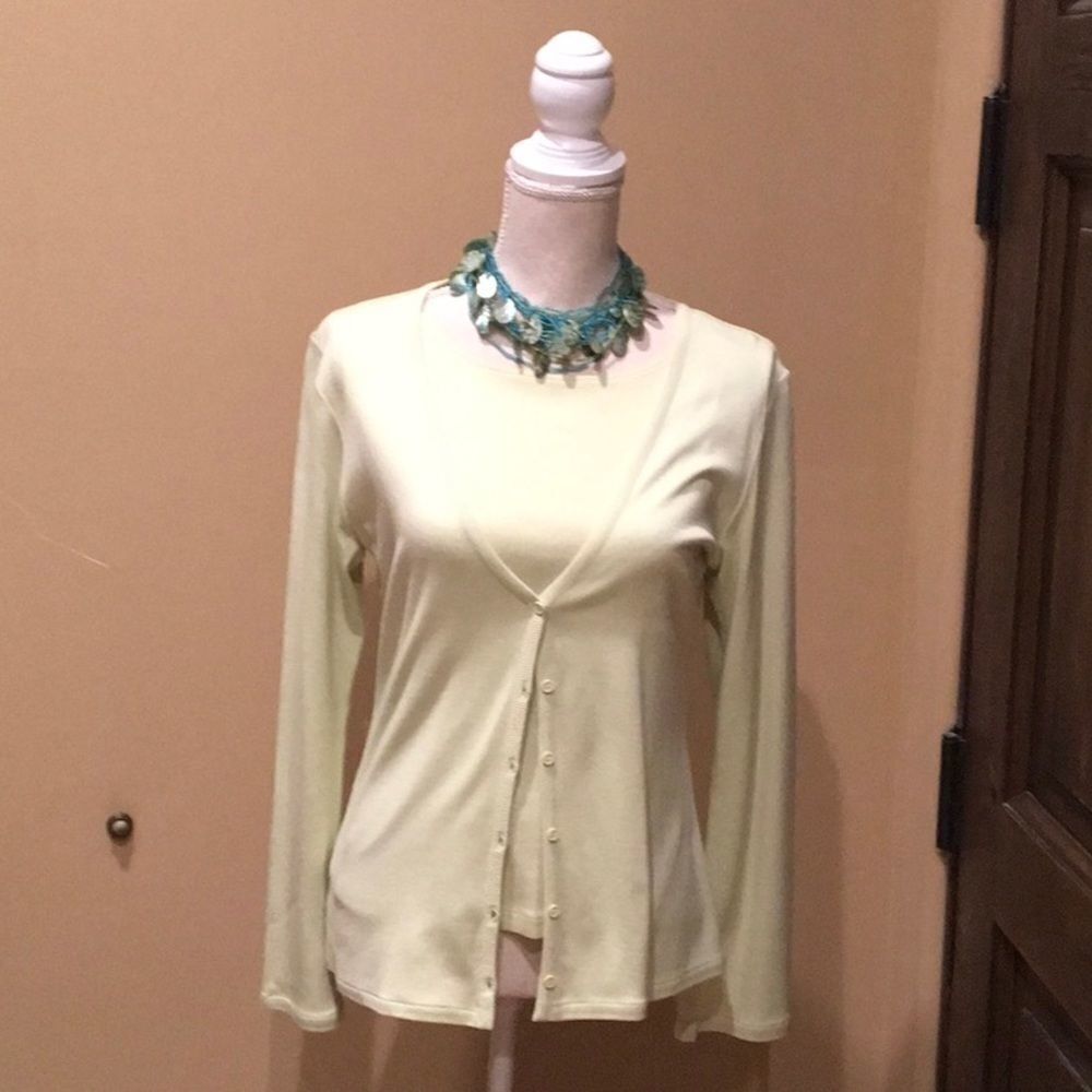 Beautiful Soft Green Silk Twinset